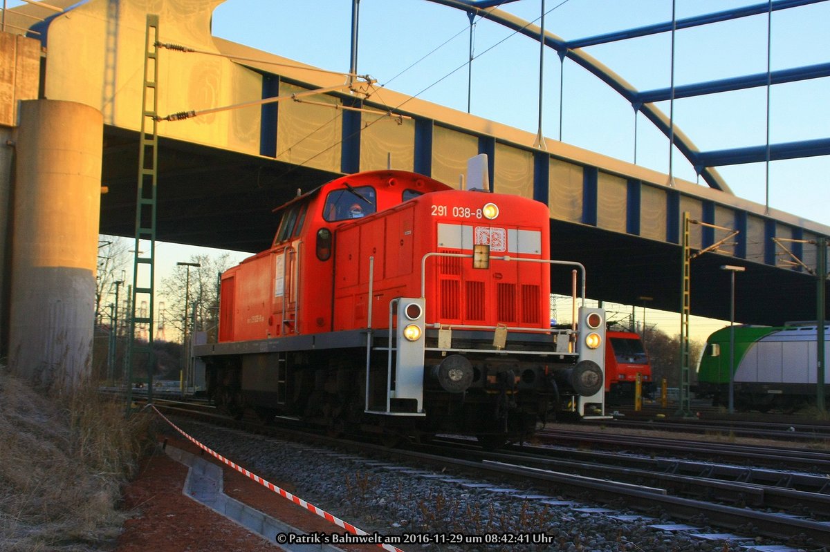 291 038 Lz am 29.11.2016 im Hafenbahnhof Alte Süderelbe