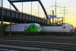 SETG 223 102 & SETG 193 247 abgestellt im Hafenbahnhof Alte Süderelbe am 29.11.2016