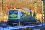 evb 140 002  Sunrail  am 16.01.2017 in Hamburg-Harburg